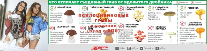 где купить   ссылка на мегу как зайти  Галлюциногенные грибы MAGIC MUSHROOMS  Богучар 